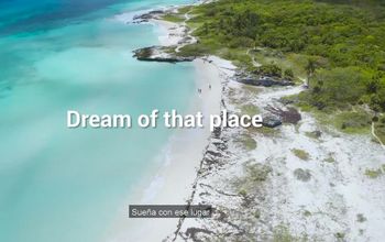 We'll Meet Again | Sandos Hotels & Resorts
