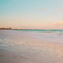 Get married for free at Majestic Resorts