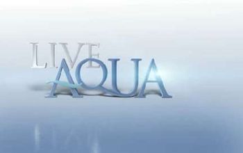 Live Aqua Hotels & Resorts