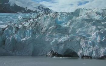 Gray Line of Alaska