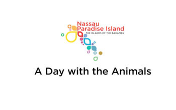 Spend A Day With The Animals on Nassau Paradise Island