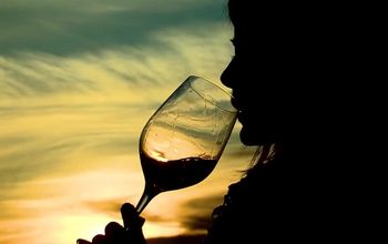 Vineyards, Vintages and Varietals: The American Empress