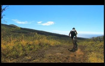 Maui Visitors and Convention bureau Ad One