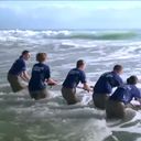Save the Ocean with SeaWorld