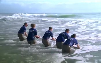 Save the Ocean with SeaWorld