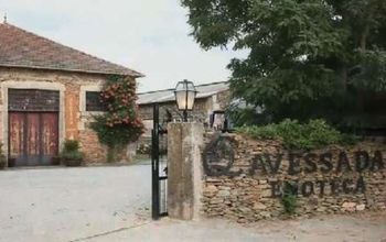 Douro Valley: A Winemaking Dynasty