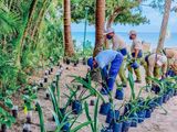 Stella Awards 2024: Best Sustainability Initiative