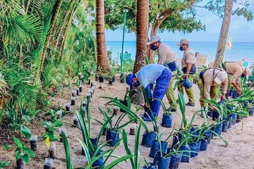 Stella Awards 2024: Best Sustainability Initiative
