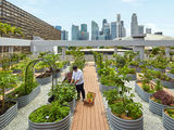 Stella Awards 2023: Best Sustainability Initiative