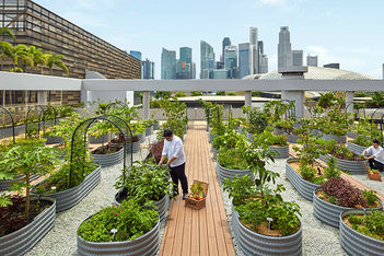 Stella Awards 2023: Best Sustainability Initiative