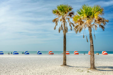 Florida West Coast Meetings Always Up To Date Planner Guide