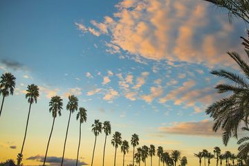 Greater Palm Springs Meeting Guide