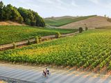 Sonoma County