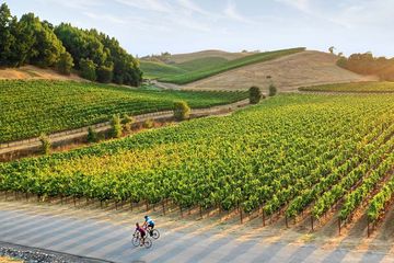 sonoma-meeting-planner-guide-1 -min