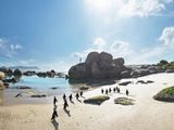Why South Africa for Your Next Event