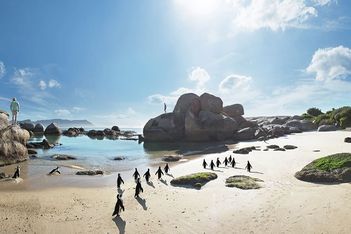 Why South Africa for Your Next Event