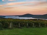 New York State: A Regional Guide