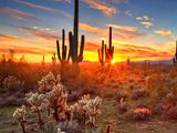 Arizona