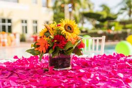 destination-caribbean-tablecloths-one-happy-photographer