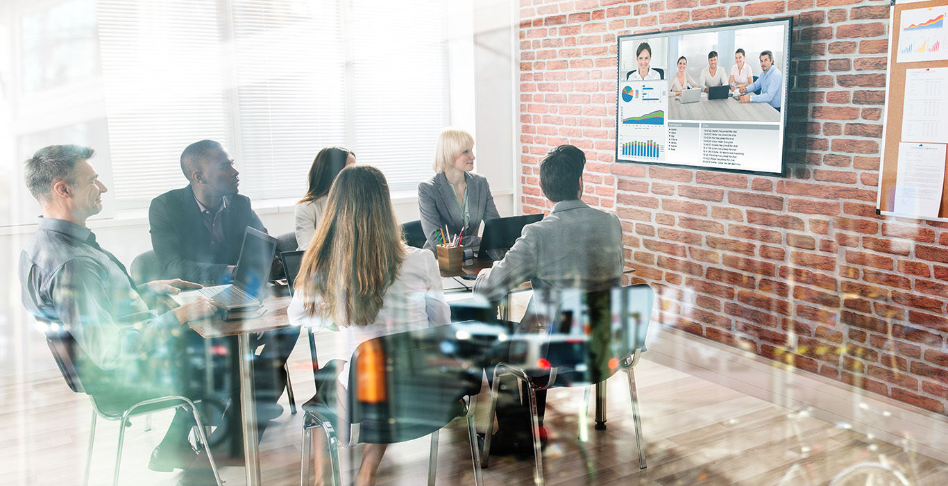 web conference 