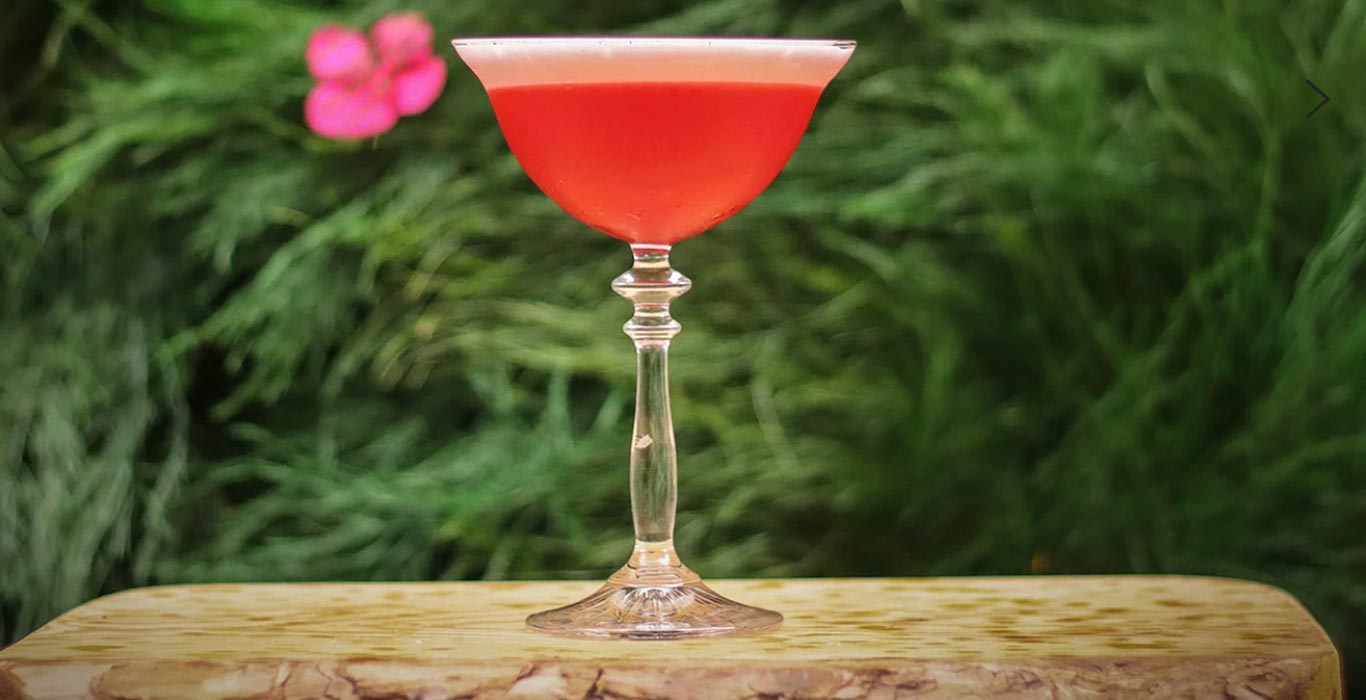 mixology-mixer-strawberry-fields-cocktail