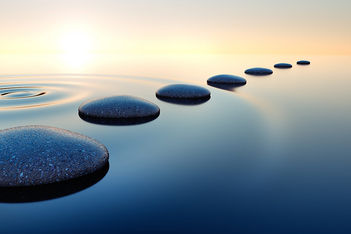 Unique Wellness Ideas for Events and Travel