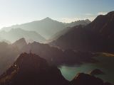 Is Wellness the New Way Forward?