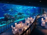 S.E.A. Aquarium