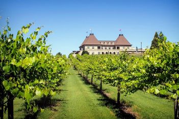 Grapes and Groups: 5 U.S. Winery Hotels