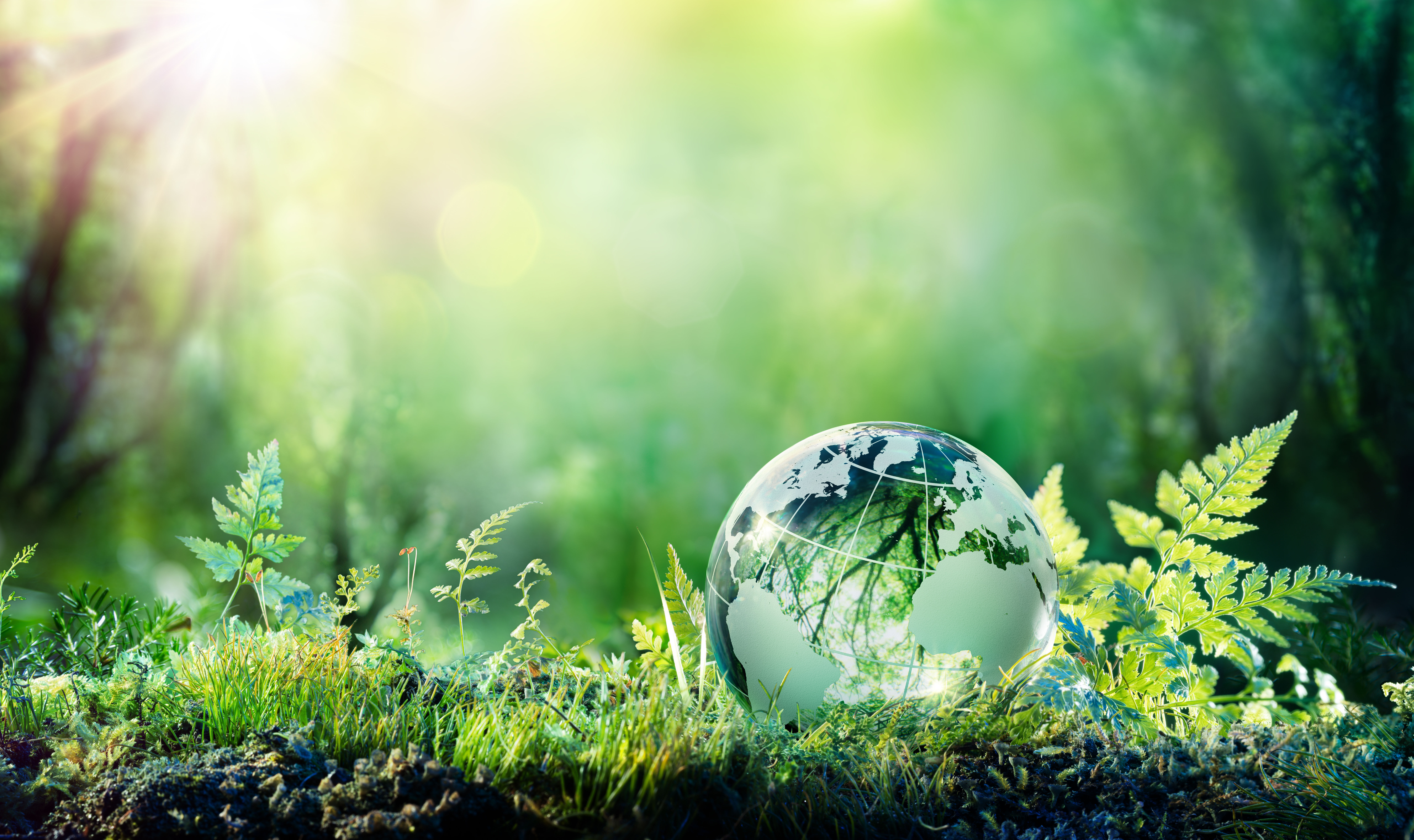 crystal-globe-on-moss-gettyimages-943875205
