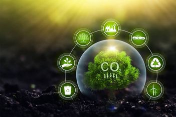 Hawaii sustainability lead