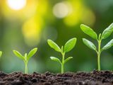 An Inside Look at Maritz's Sustainability Journey