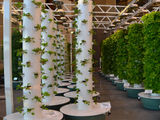 Sustainable Events and Cultural Diversity Redefine the Meetings Landscape
