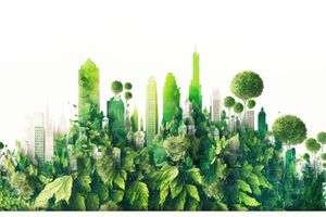 Taking Action Toward Sustainable Meetings