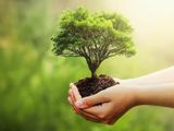 6 Tips for Planning a Cost-Effective and Sustainable Event
