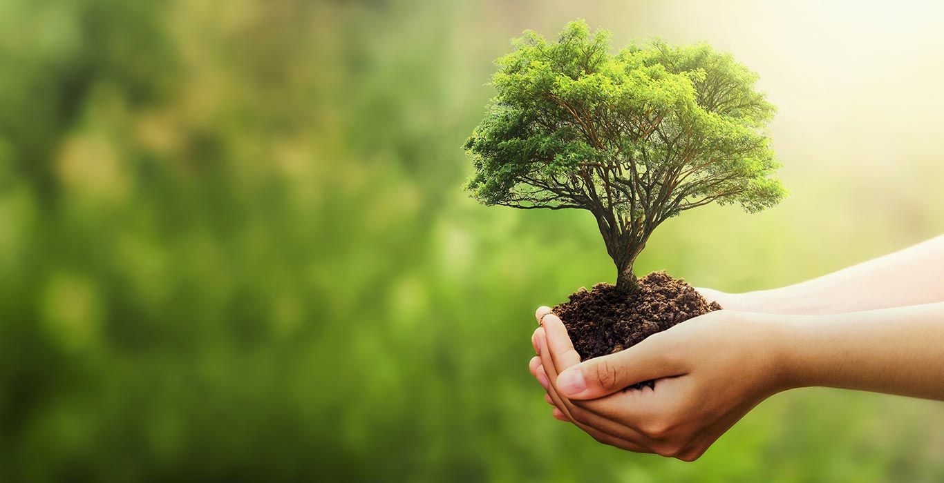 How to Go Green With Event Gifting