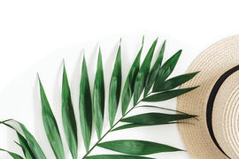 Best Practices for Planning an Incentive Trip