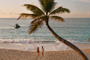Discover Quiz: The Cove at Atlantis
