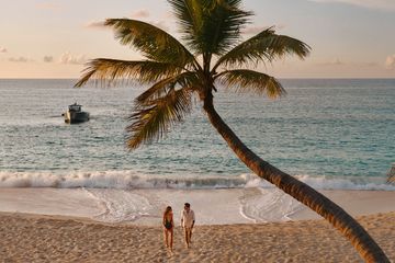Discover Quiz: The Cove at Atlantis