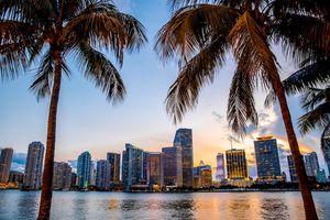 Visit Florida President and CEO Announces Retirement