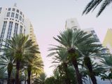 Loews Miami Beach Hotel Partnership Omni
