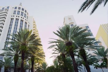 Loews Miami Beach Hotel Partnership Omni