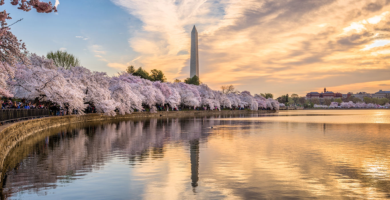 Lower Group Demand From Federal Shutdown Felt in Key Markets