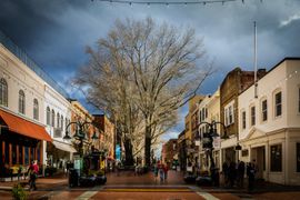 Charlottesville-Virginia-DEI
