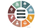 Measuring the Impact of Meetings and Events Beyond the Spend