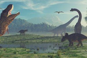 Paleontology Conference Bans Epstein-Associated Scientists