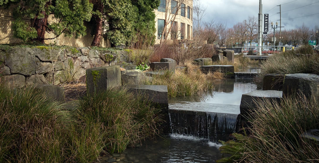 Rain-garden-oregon-convention-center