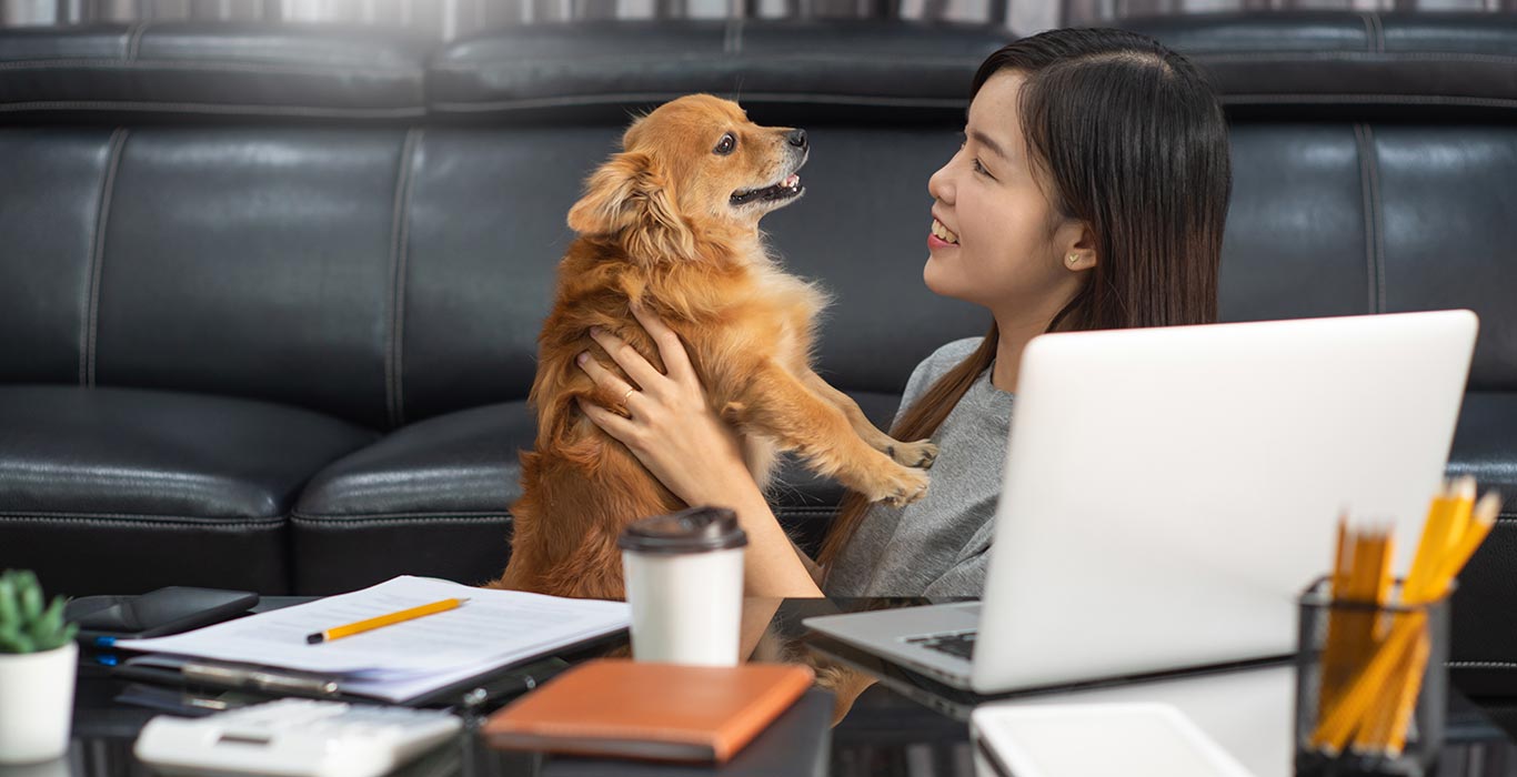 Most Remote Workers Would Quit Rather Than Go Back to the Office