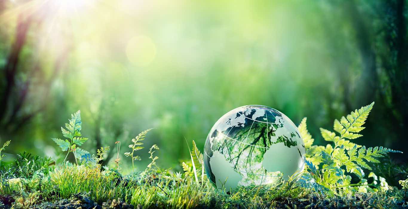 EIC Launches New Sustainability Initiative