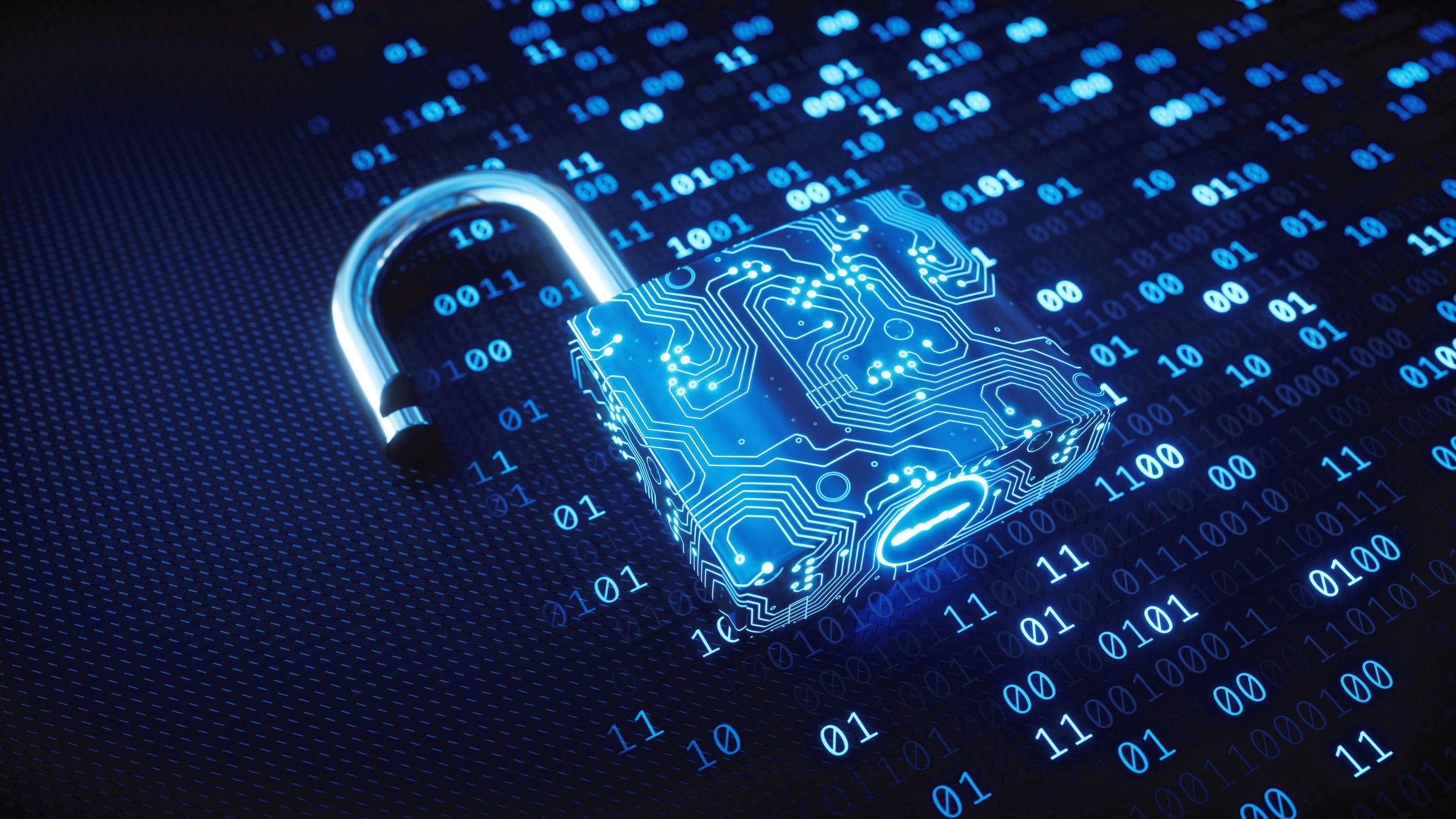 Overcoming Data Insecurity
